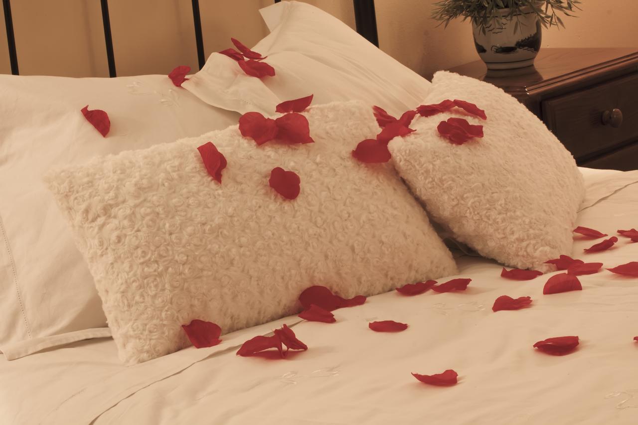 Hotel Mayno