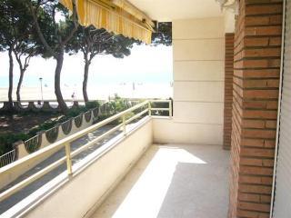 Colibri Hotel