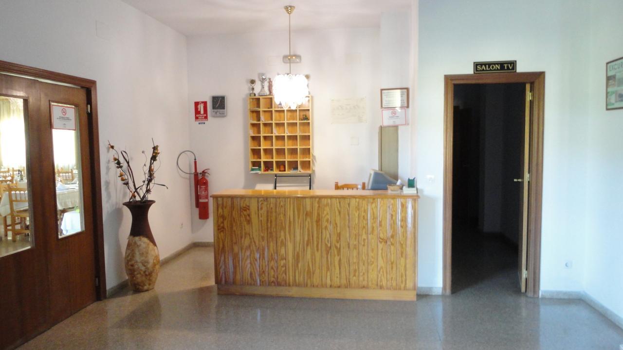 Hotel Losam 2*