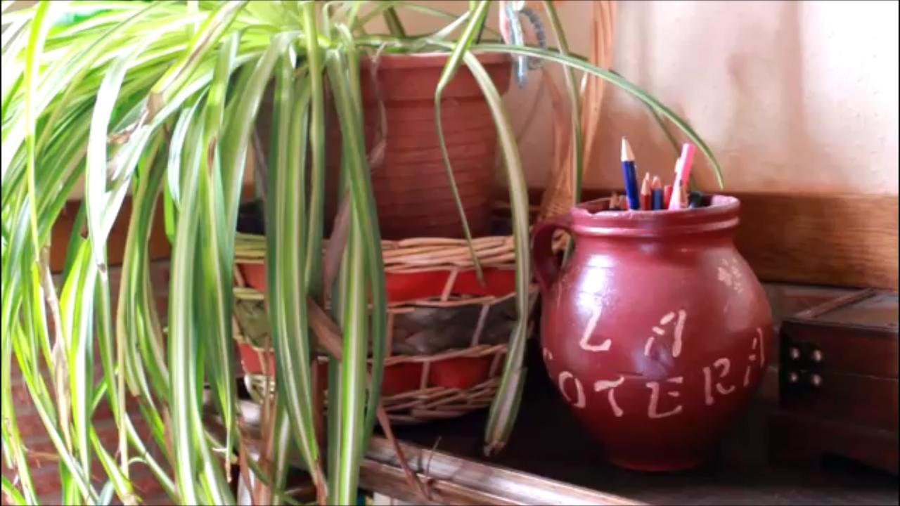 La Cotera De Inn *