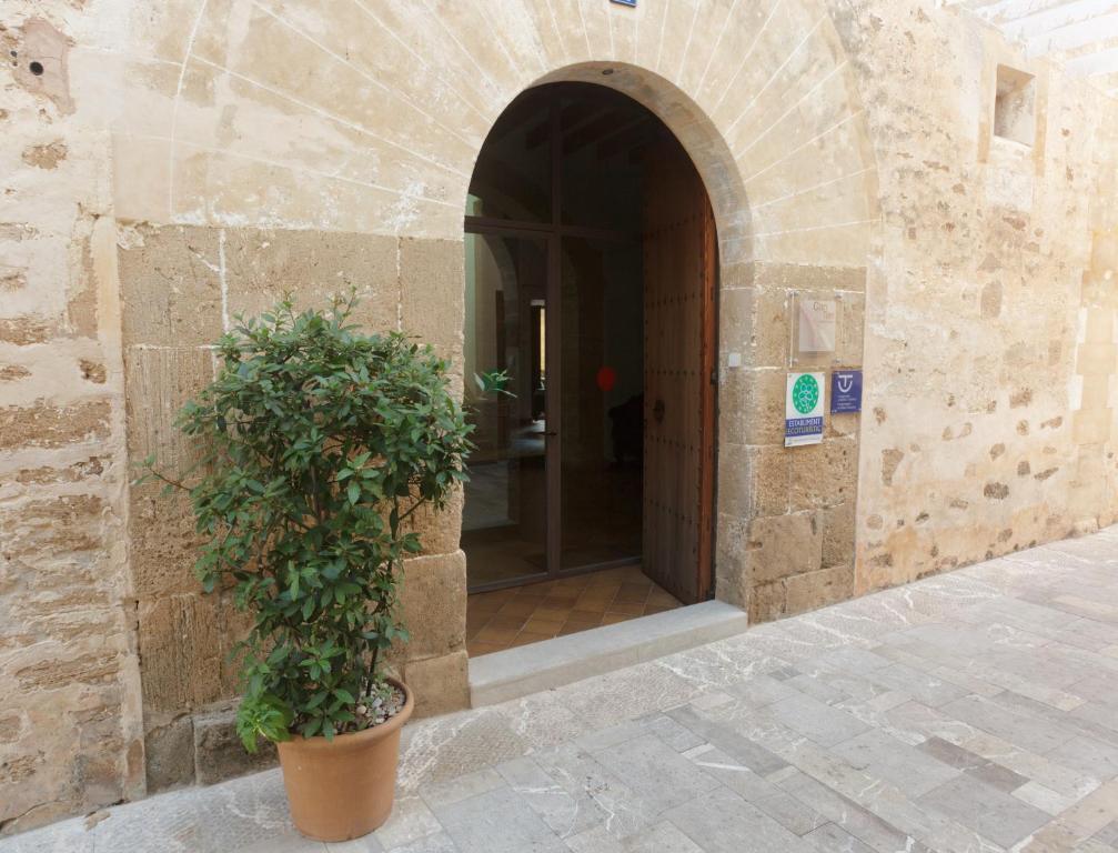 Tem Turismo De Interior Agroturismo Alcúdia
