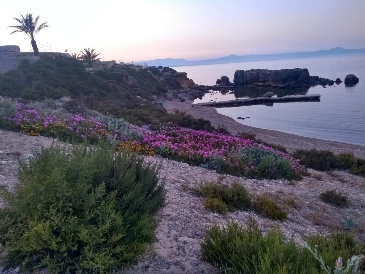 Calatabarca * Isla de Tabarca