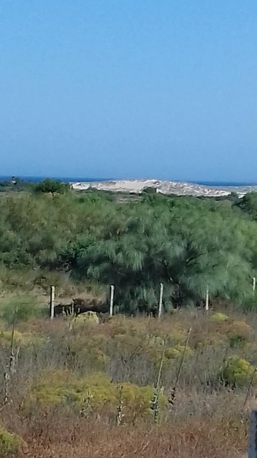 La Aceitera De Trafalgar Barbate