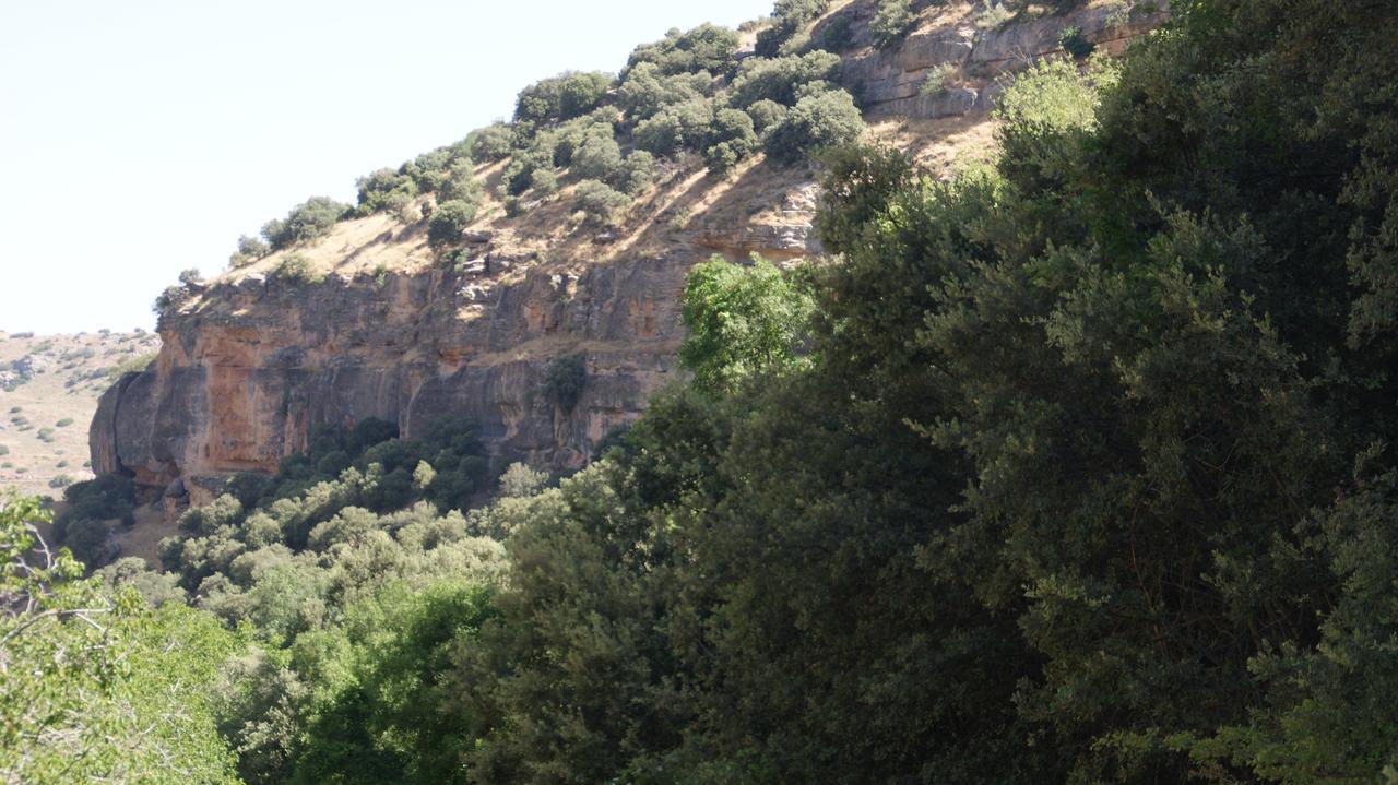 Country house Cortijo Bellavista *