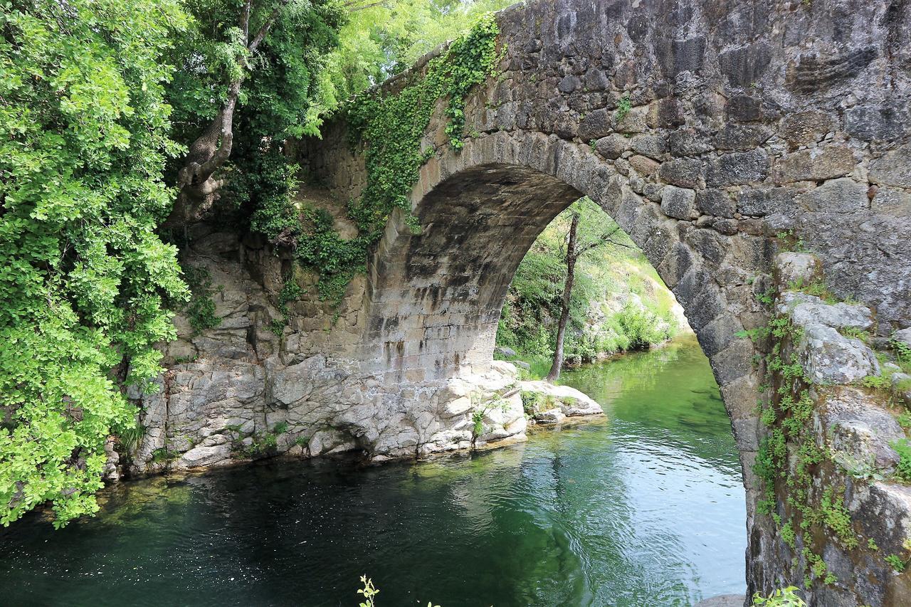 La Garzona *