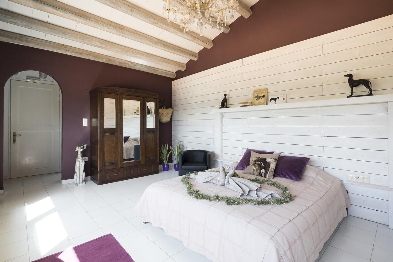 Bed & Breakfast Can Patiras *