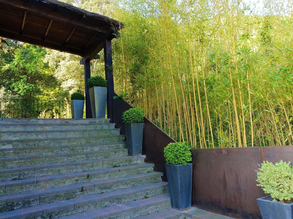 Rural&spa Mas Prat 3* La Vall de Bianya
