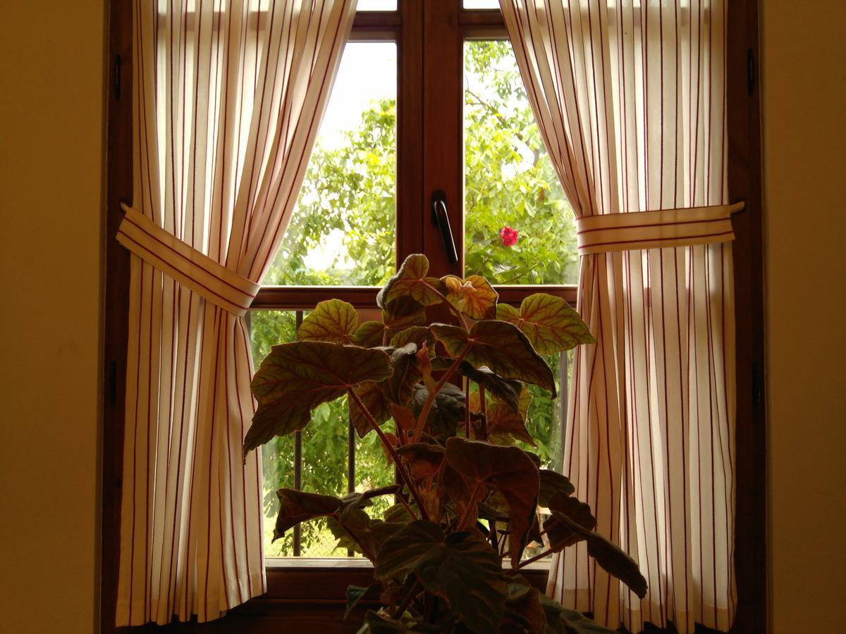 Casa Fidela Pensión Lomeña