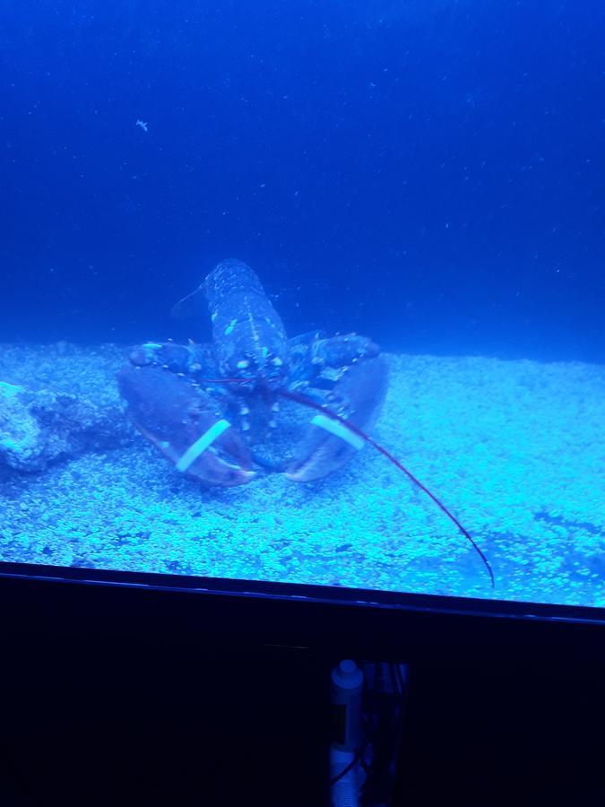 Hispalis Mairena De Alcor