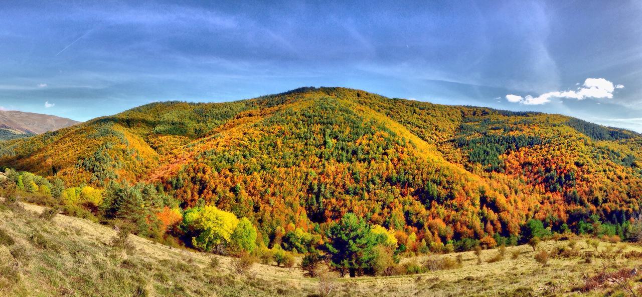 Rural Besaro - Selva De Irati Hotel Izalzu