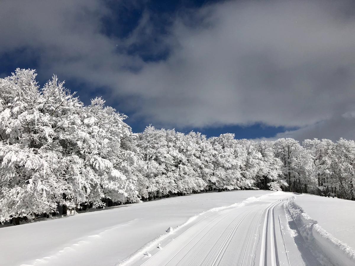Rural Besaro - Selva De Irati 3*