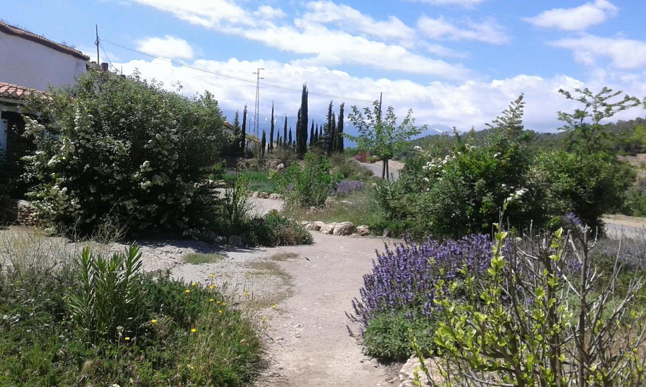 Cuevas Del Zenete Apartamento Alcudia de Guadix