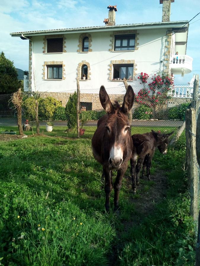 Pagoederraga Farm stay Orio