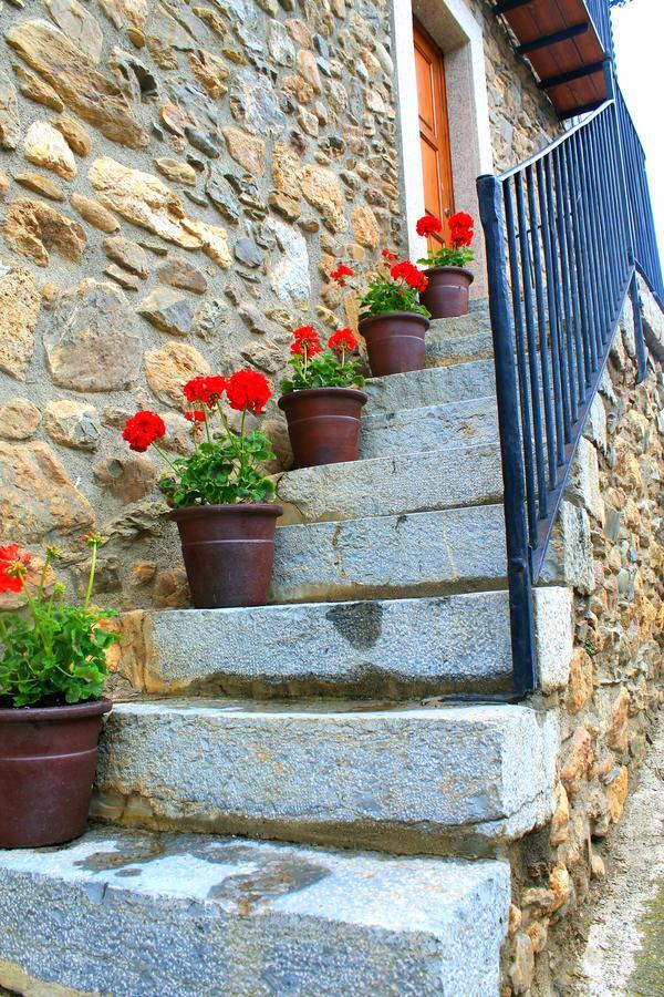 Casa rural Cal Frances