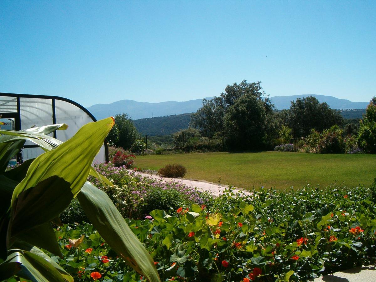 El Jardin Del Poeta