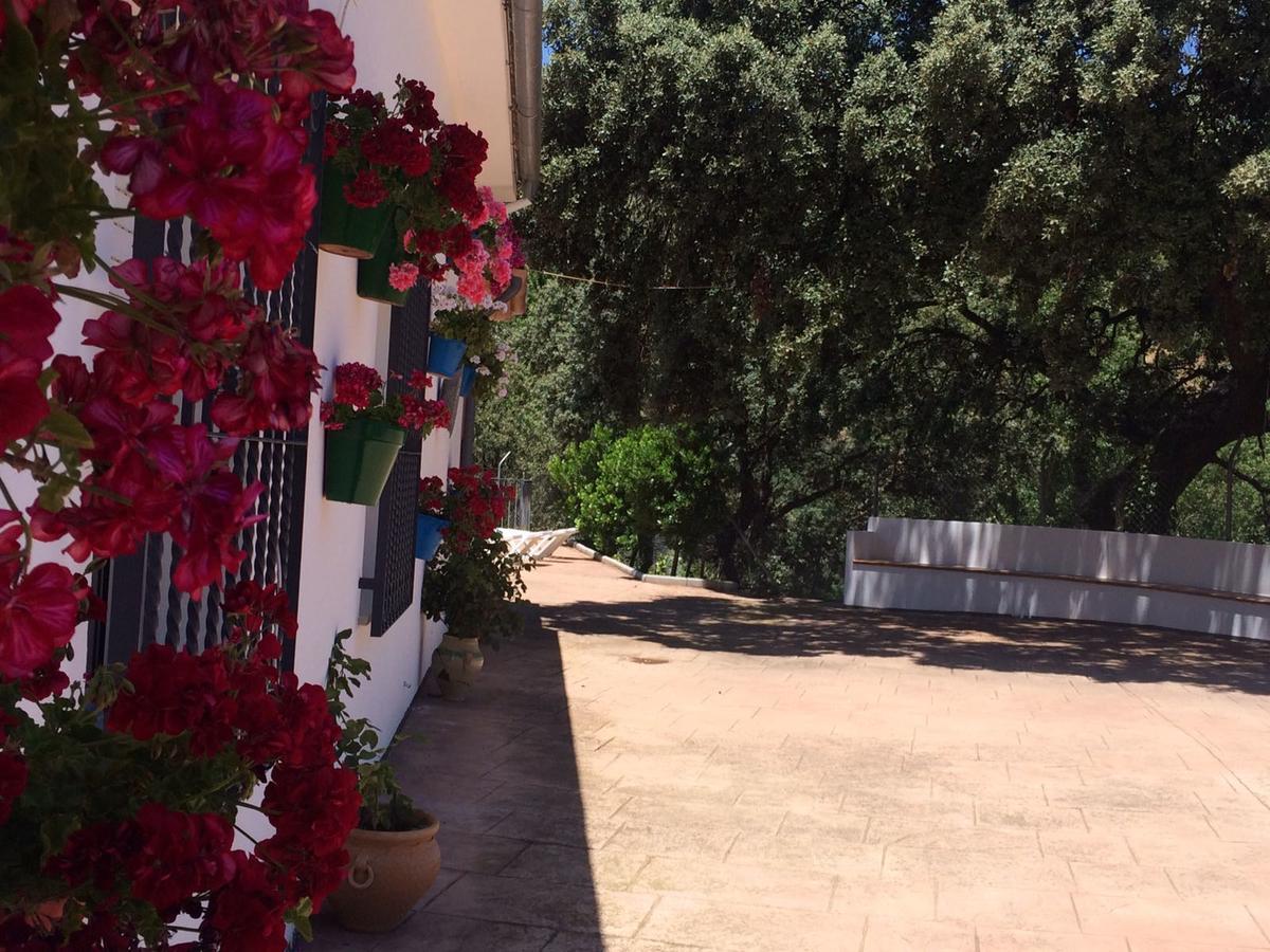 La Quinta Priego de Córdoba
