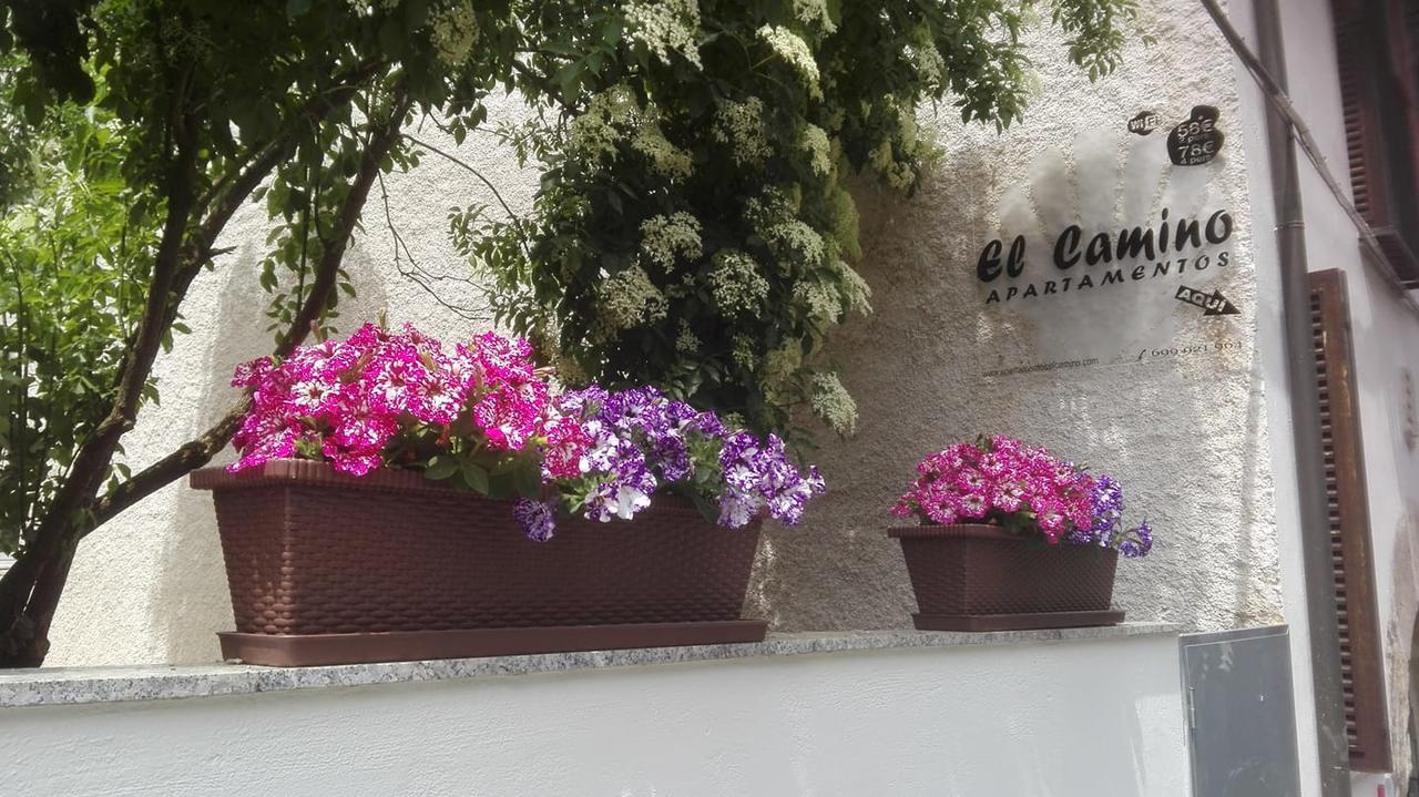 Apartamento El Camino *