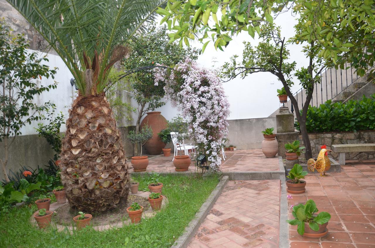 Guest house Antolina San Martin De Trevejo