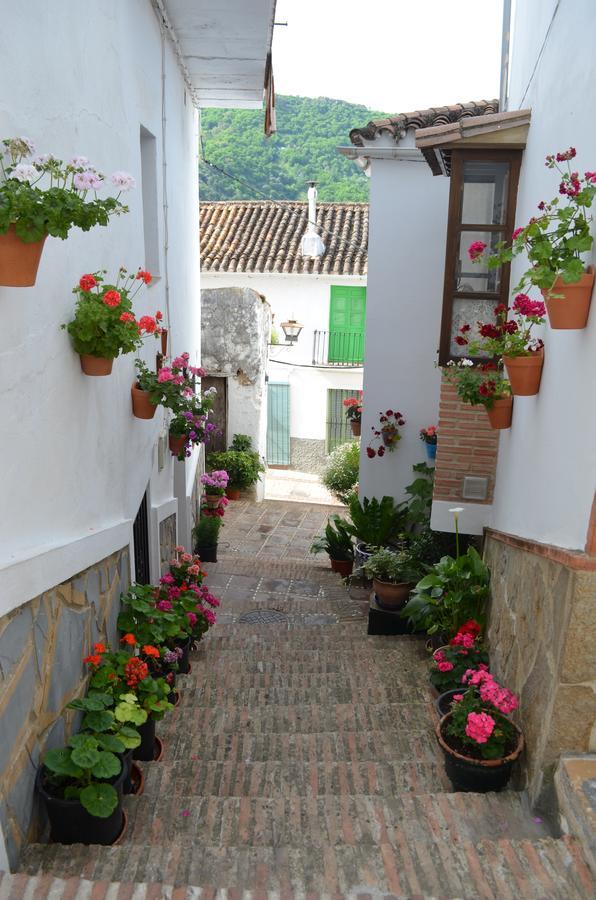 Casa La Puente *