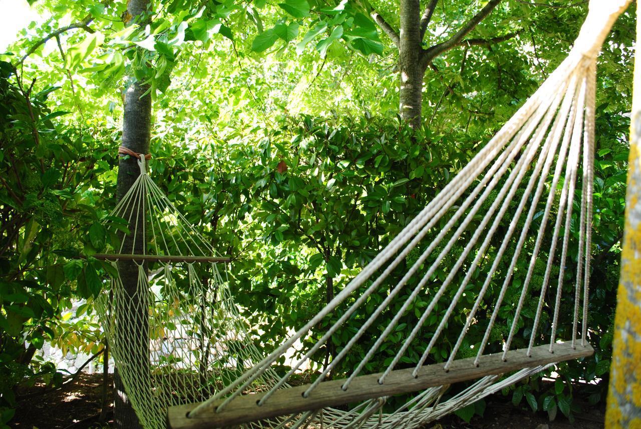 Masia El Carcabà - Molí Del Pont. Сasa de vacaciones Cornudella de Montsant