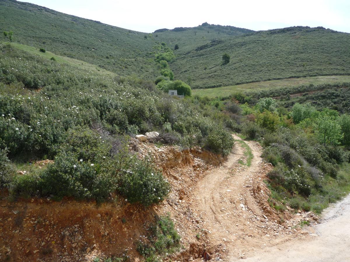Campillo * Berzosa del Lozoya