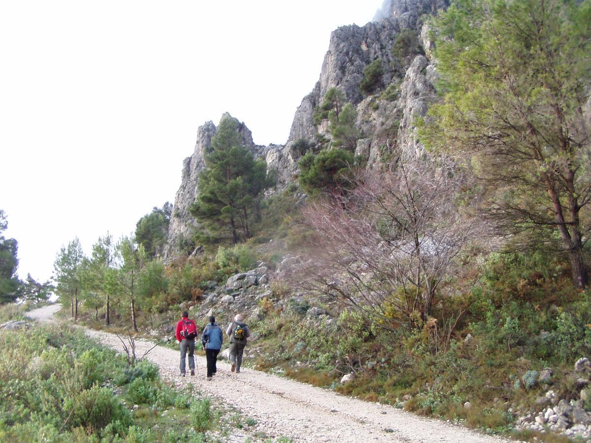 La Muntanya - Rural Guadalest Apartment *