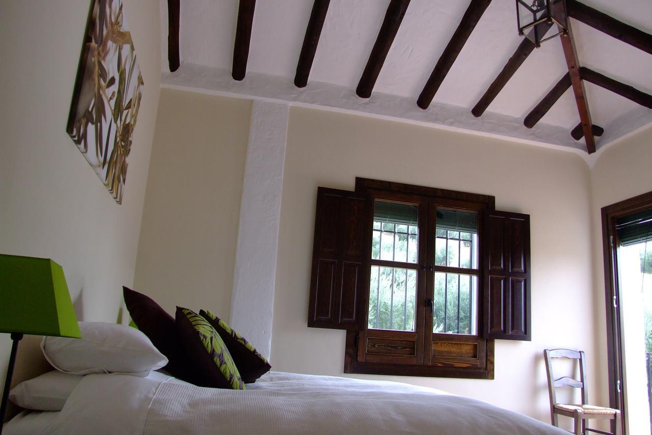 Casa Olea Bed and breakfast