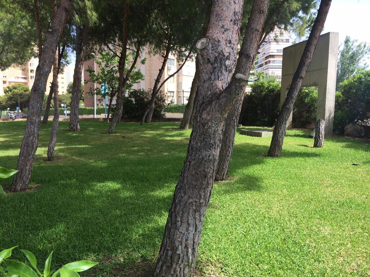 Apartment Club Del Mar San Juan *
