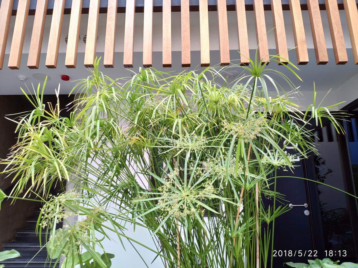 Apartamento Atrium *