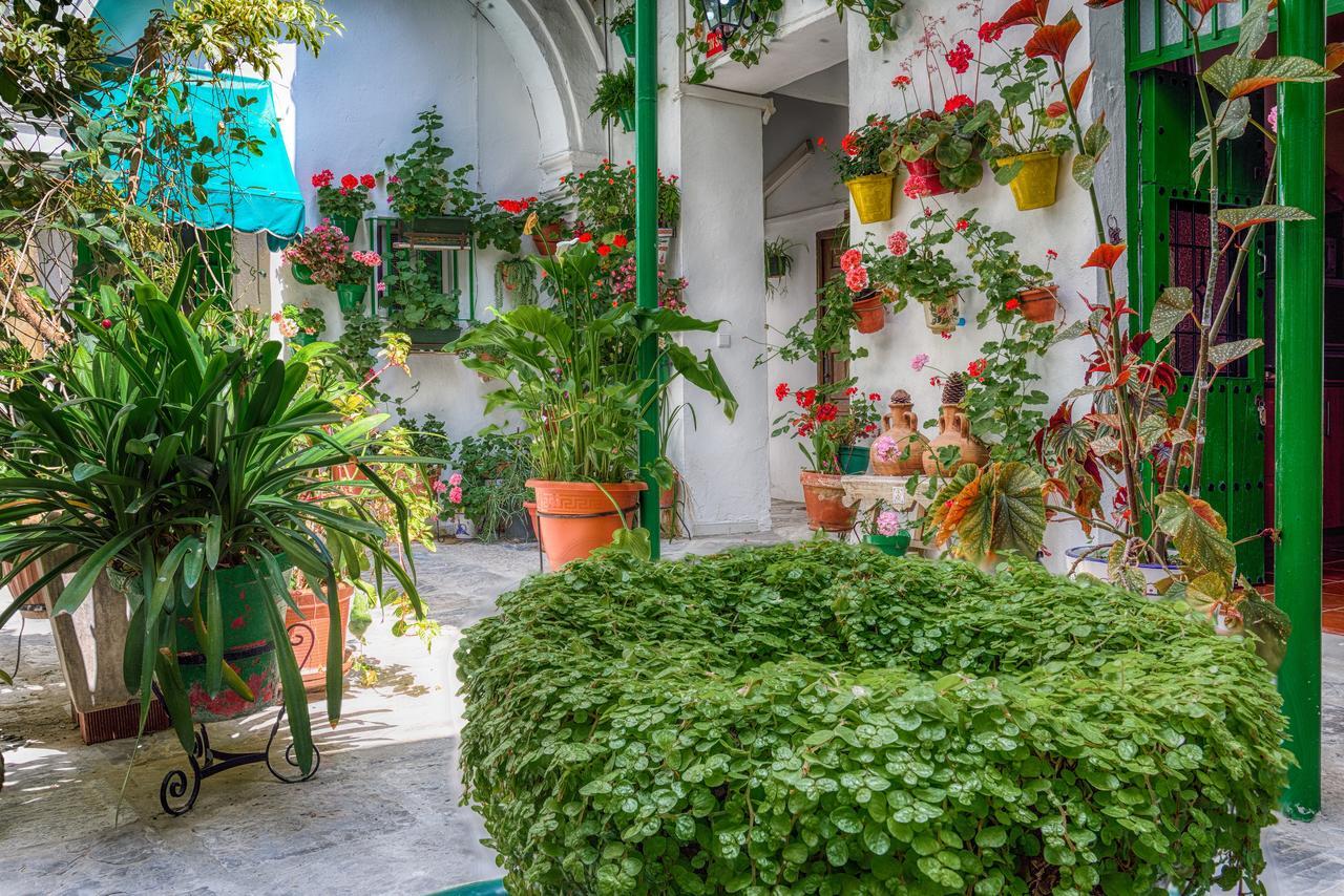 Jerez Apartamento *