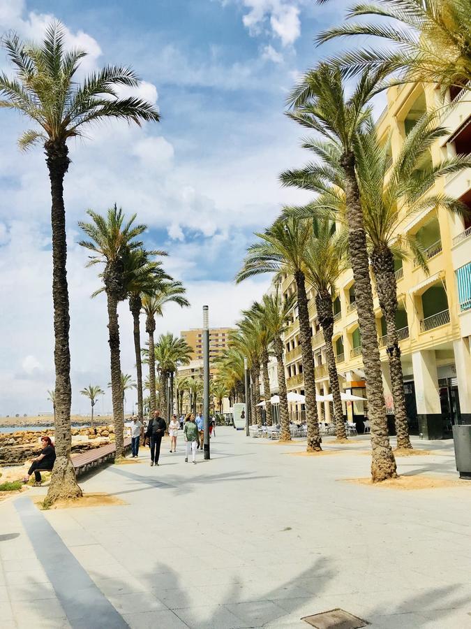 In Torrevieja