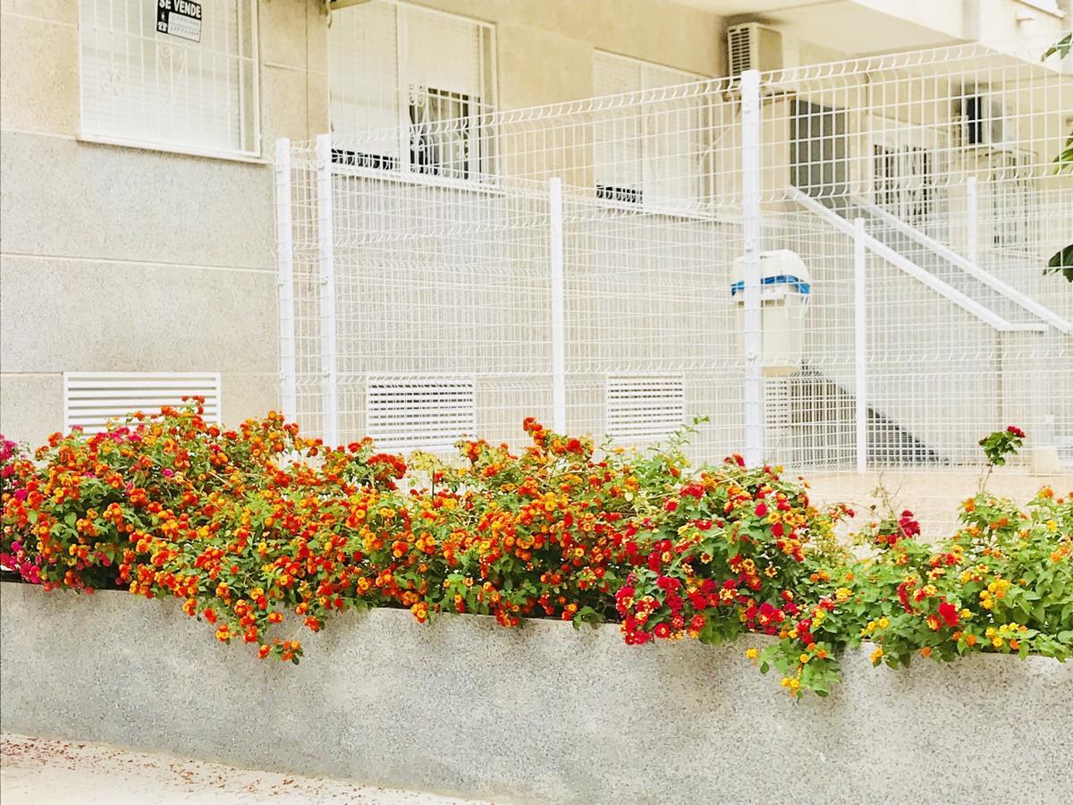 Apartamento In Torrevieja