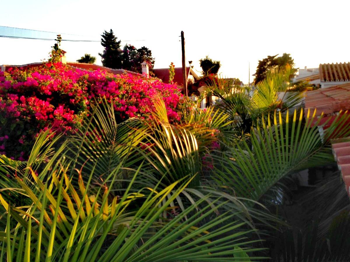 Motel Malaga Holidays
