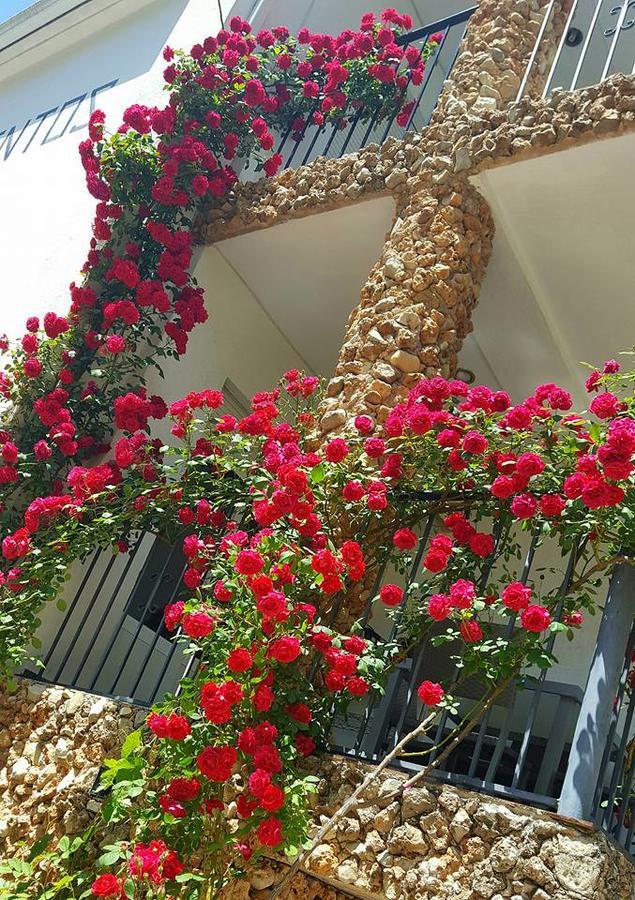 El Parral Apartamento Arroyo Frío