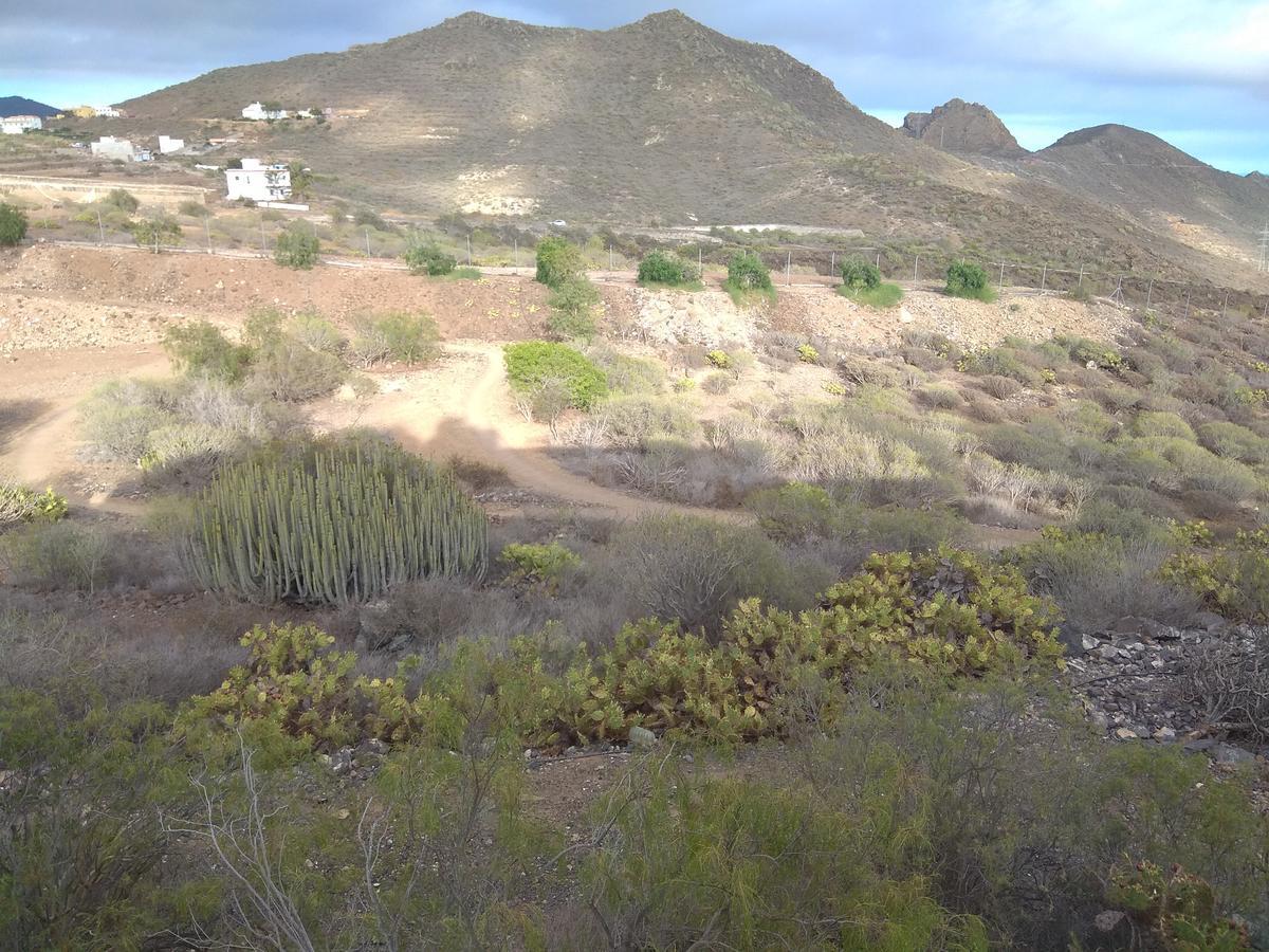 Pensión El Cerro De La Luna Arona (Tenerife)