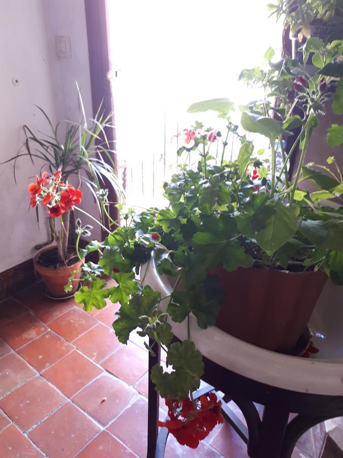 Pensión Fonda Del Tozal