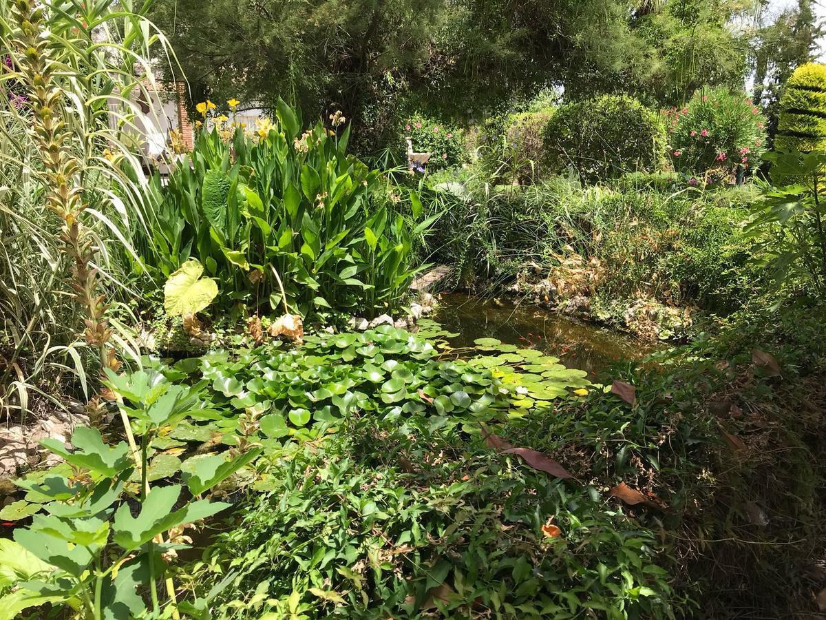 Bed and breakfast Cortijo Andaluz 3*