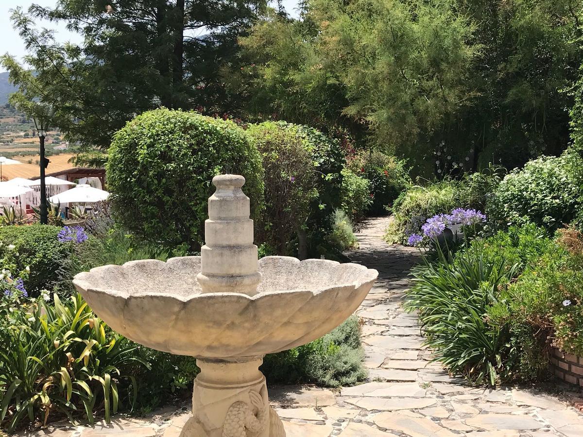 Cortijo Andaluz Bed and breakfast