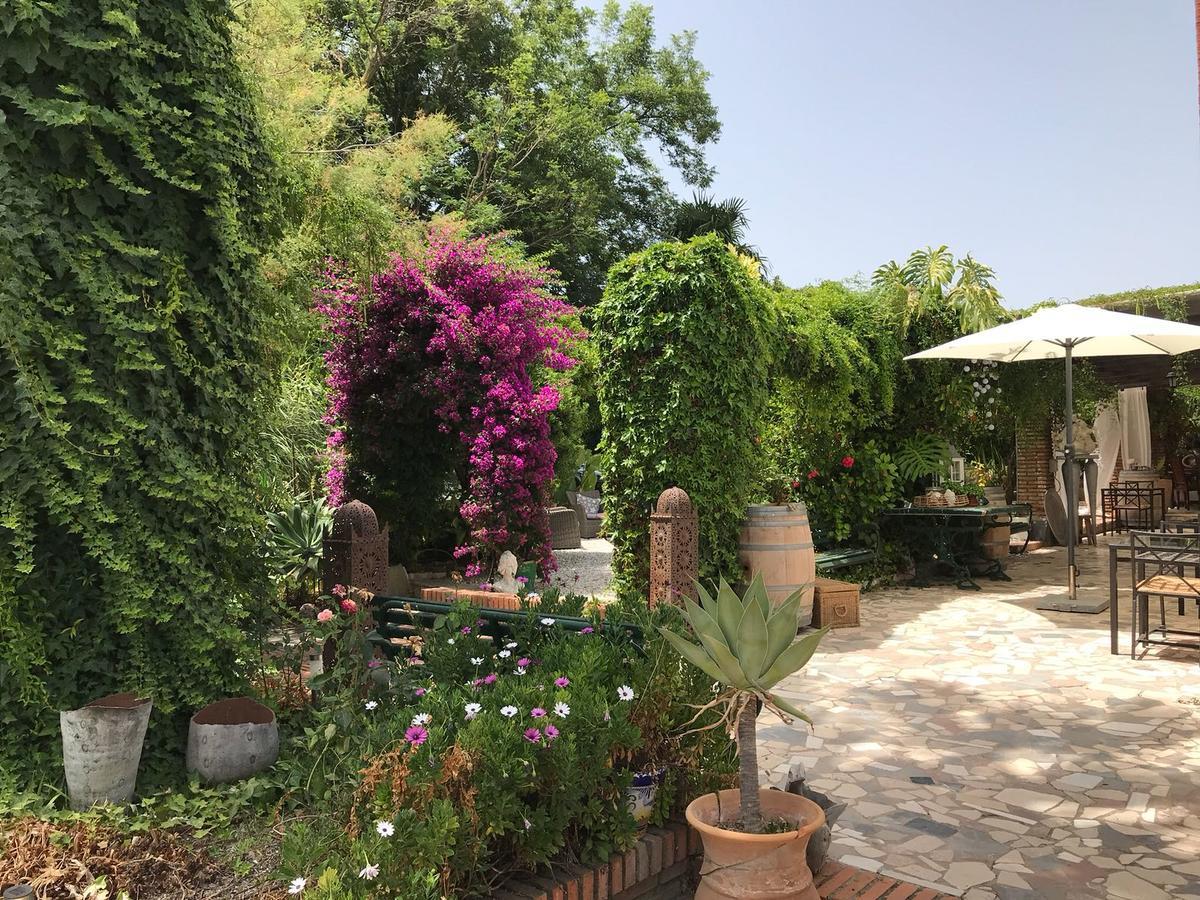 Bed and breakfast Cortijo Andaluz 3*