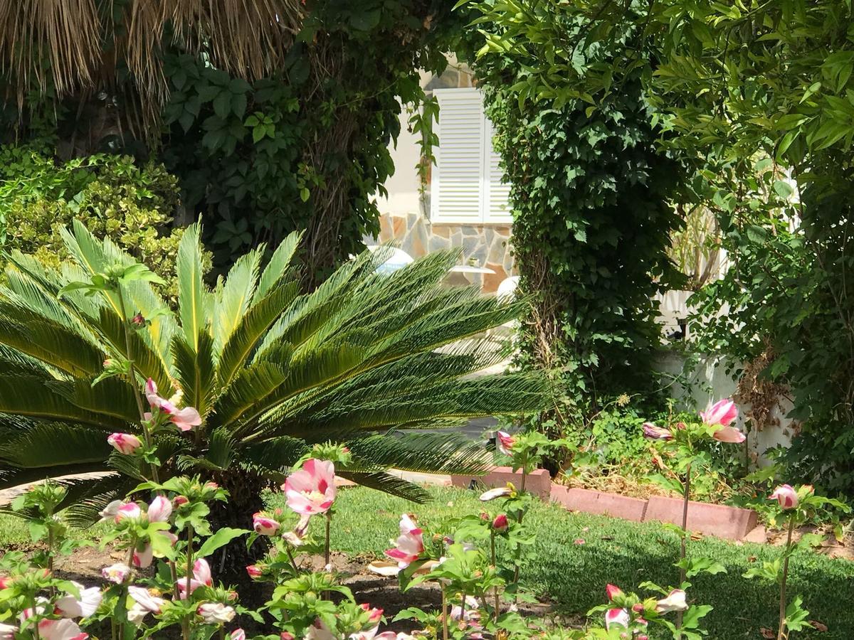 Cortijo Andaluz Bed and breakfast