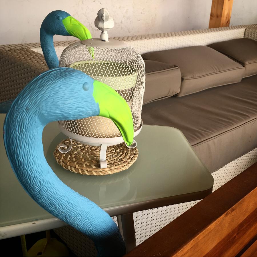 Cocos Surfhouse Hostel *