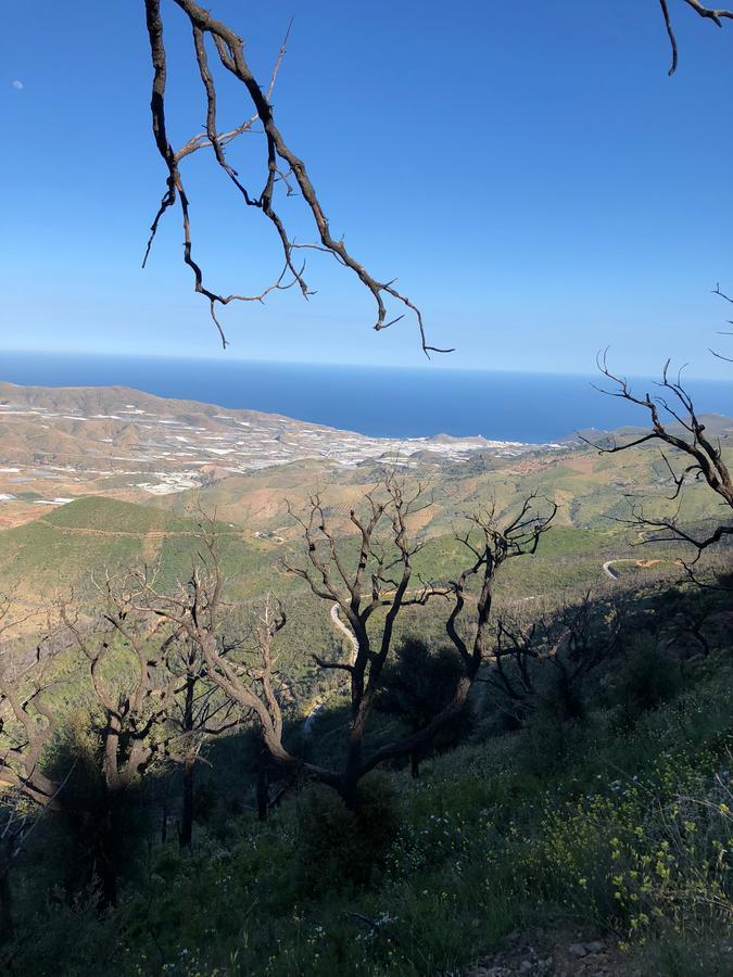 Cortijo Sancardo *