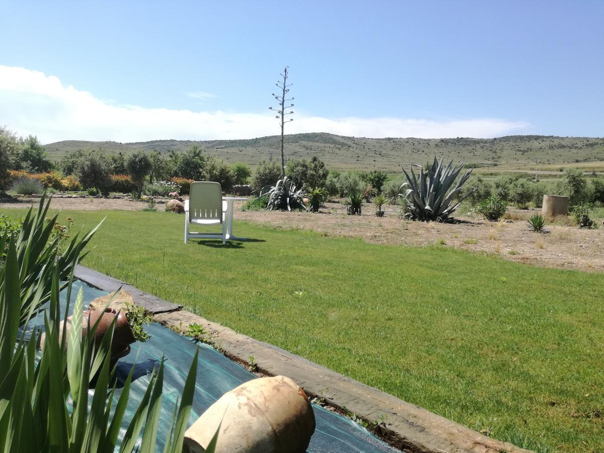 Casa Olivos * Grávalos