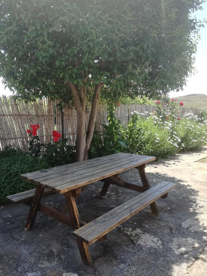 Сasa de vacaciones Casa Olivos *