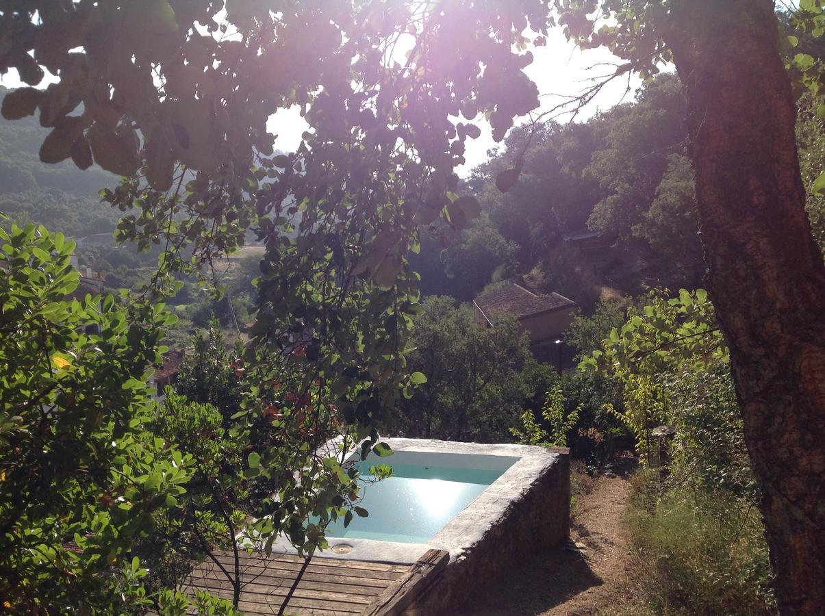 Holiday home El Risco Del Lomero