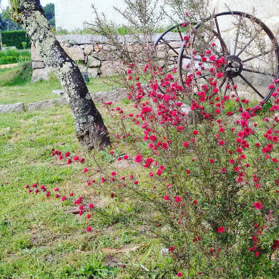 Country house A Cantaruxa Maruxa Mondariz