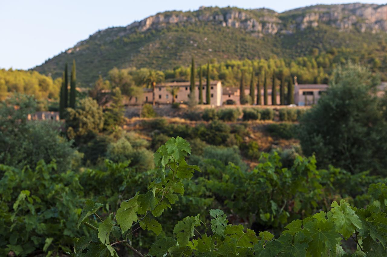 Hotel Terra Dominicata - & Winery - Adults Only 5*