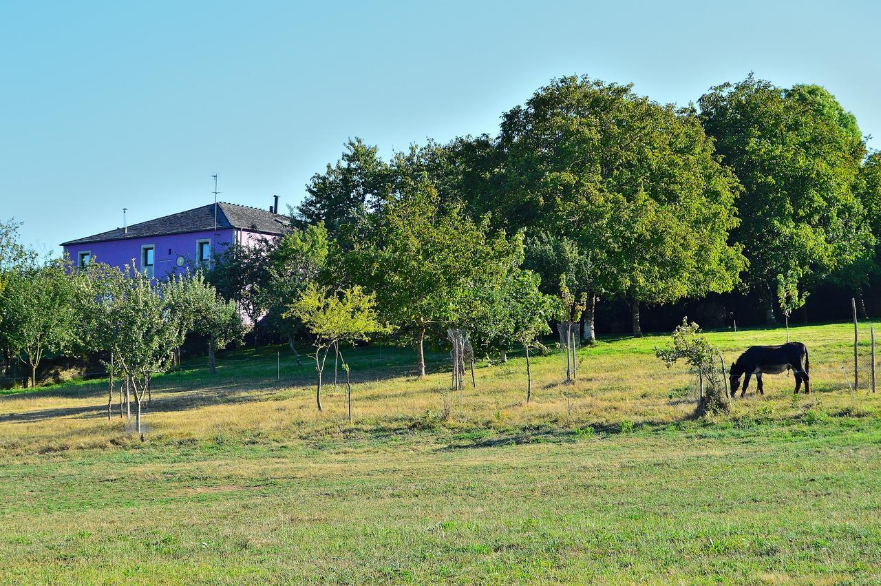 Casa De Baixo 2*