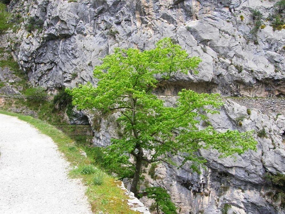 Rural Picos De Europa Hotel
