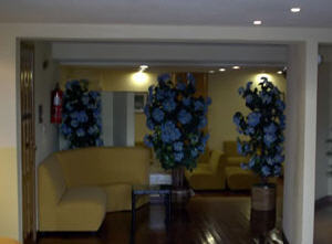 Hotel Duerming De